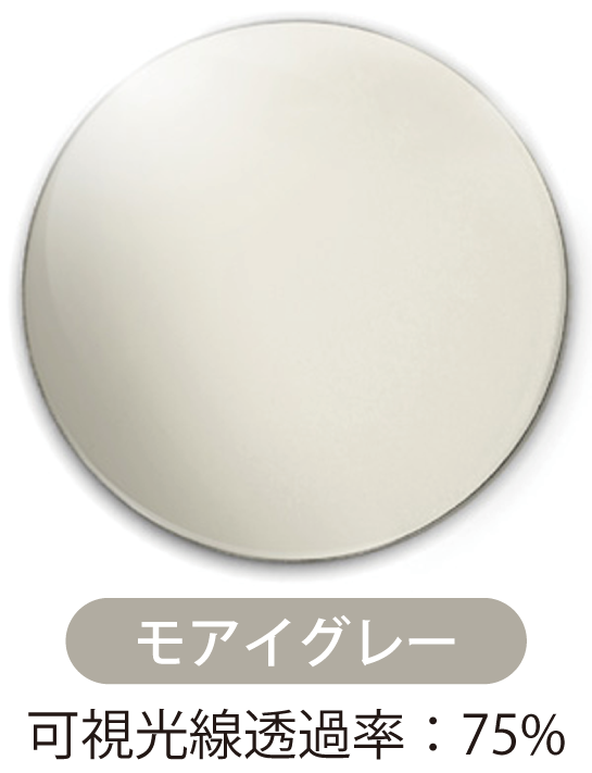 モアイグレー画像