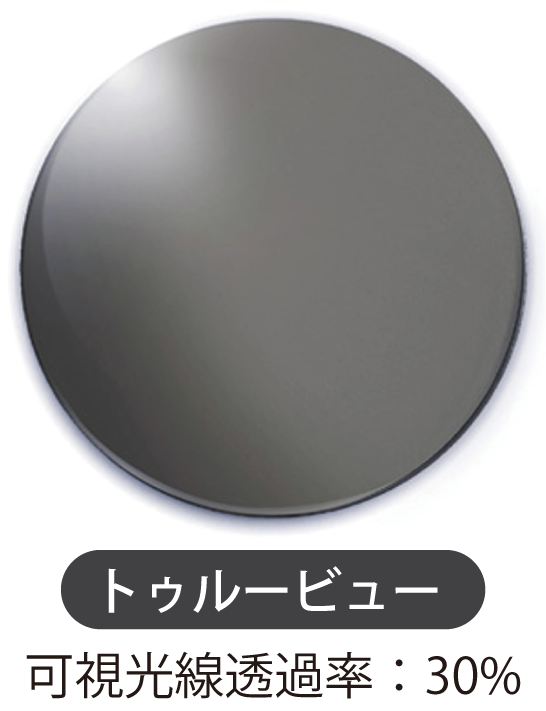 トゥルービュー画像